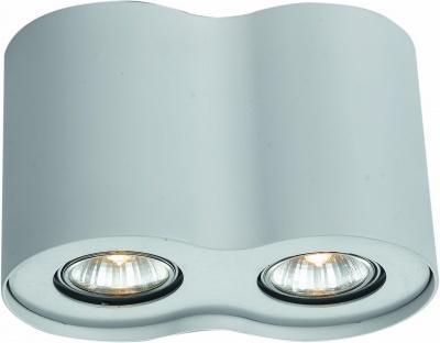 Накладной потолочный светильник Arte Lamp арт. A5633PL-2WH